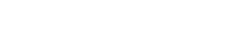 Optivis Consulting